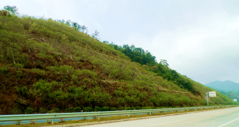 天汕高速公路边坡绿化防护工程