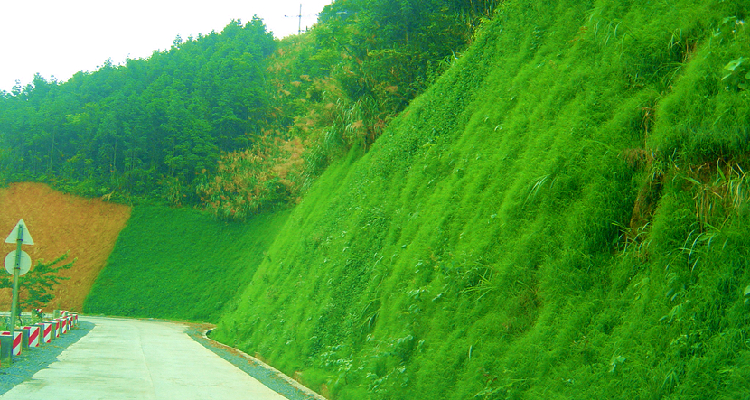 广东·乐昌峡水利枢纽发电厂及引水工程