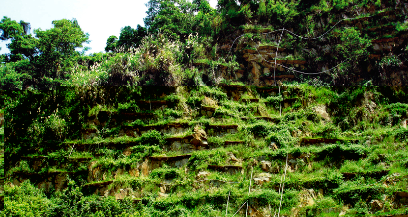 深圳·宝安工业区后山废弃坑口治理工程