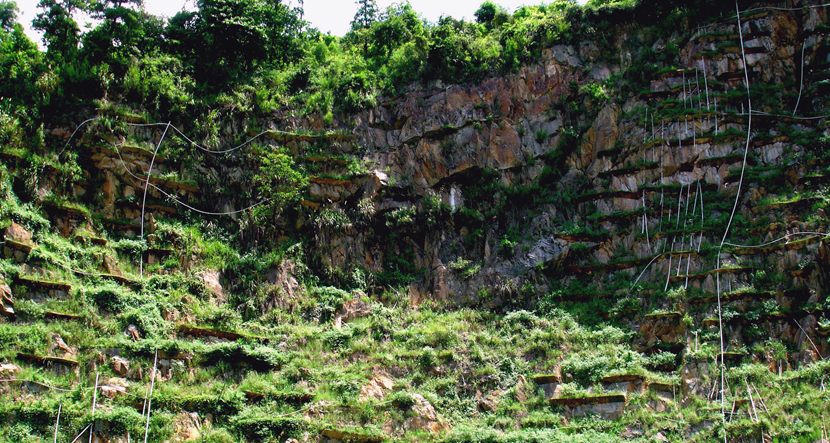 深圳·宝安工业区后山废弃坑口治理工程