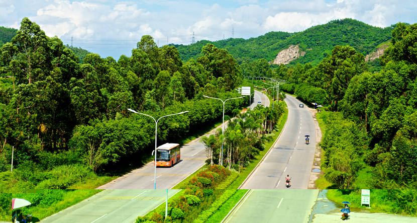 珠海·城市绿化景观提升工程