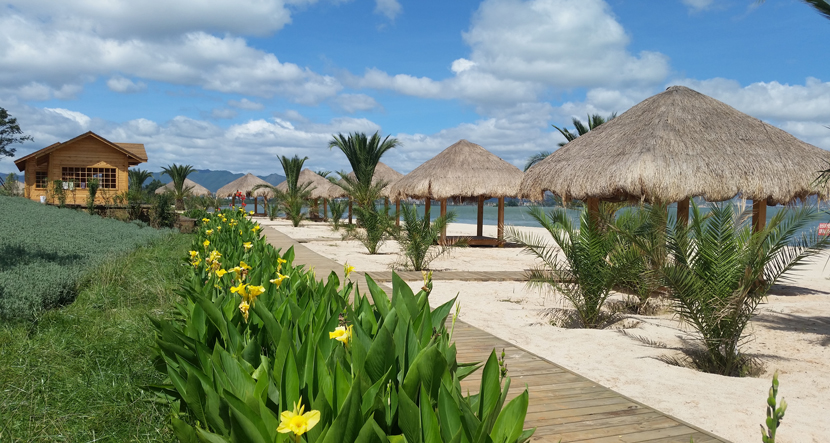 云南·南滇池国家湿地公园