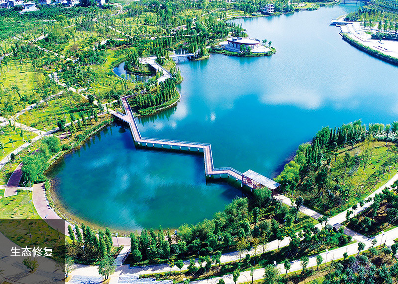 生态修复代表图片